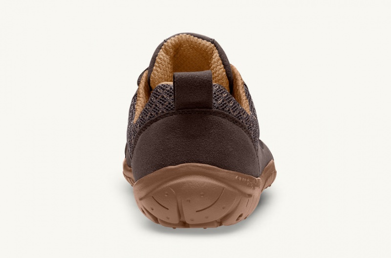 Brown Lems Primal 2 Barefoot - QXX-15455